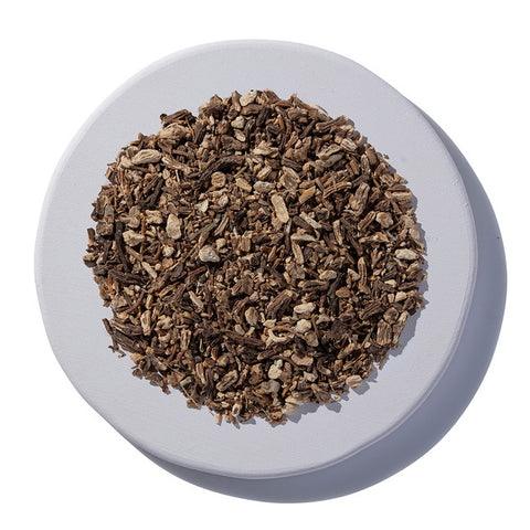 Angelica Root